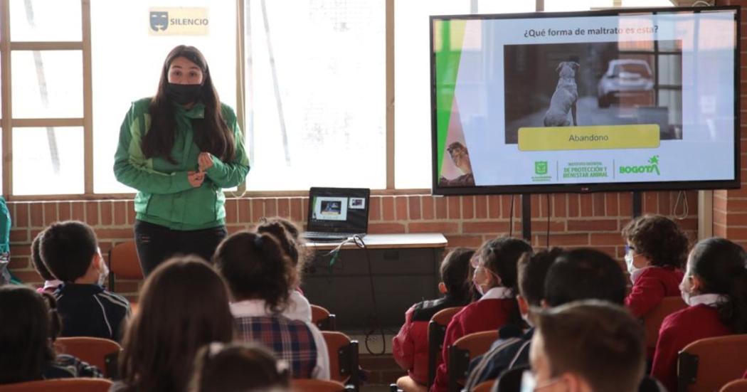 ¿De qué trata el programa Guardianes escolares por los animales? 