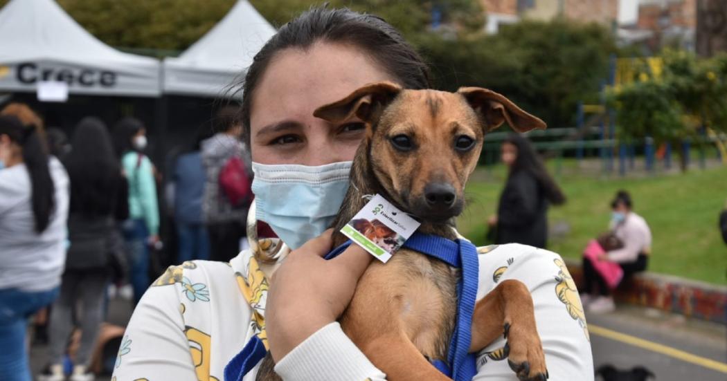 ¿Dónde puedo esterilizar a mi perro o gato gratis aquí en Bogotá?