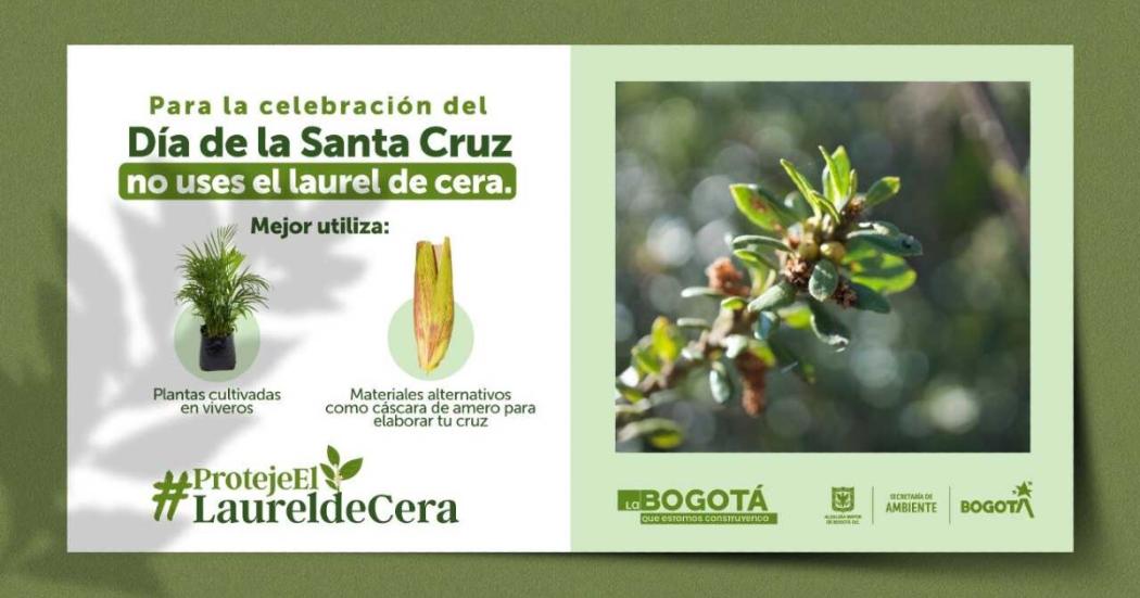 Existen otras maneras de hacer la Cruz de Mayo sin usar laurel de cera