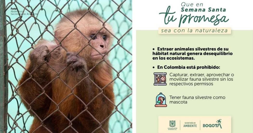 ¿Sabes dónde puedes reportar animales que van a ser comercializados?