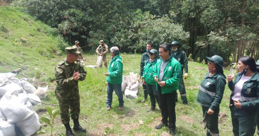 Jornada de plantación de 200 árboles en localidad de San Cristóbal