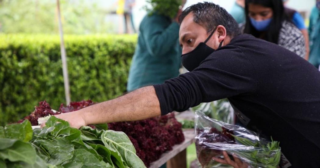 Universidad de Harvard dictará taller a servidores del Jardín Botánico