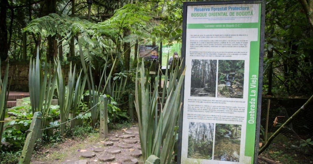  Así puedes acceder a los recorridos guiados por la quebrada La Vieja