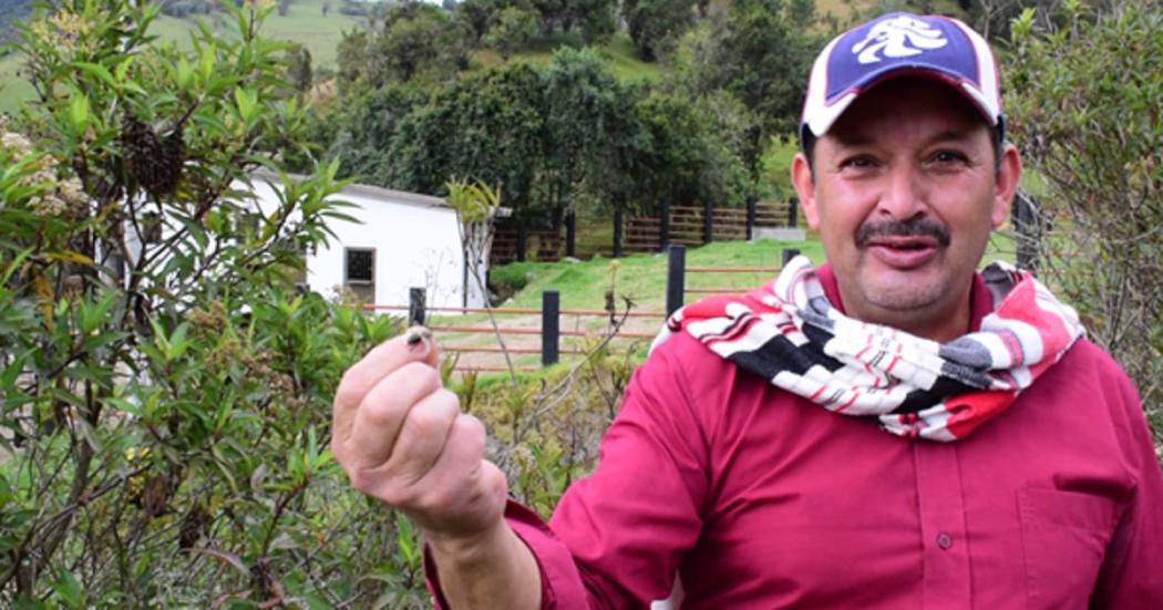 Es Campesino Local fortaleció apicultura de Noelí Santana en Sumapaz