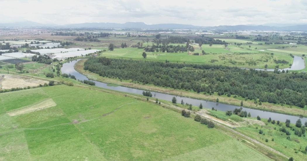 ¿Cómo avanza el proceso de descontaminación del río Bogotá?