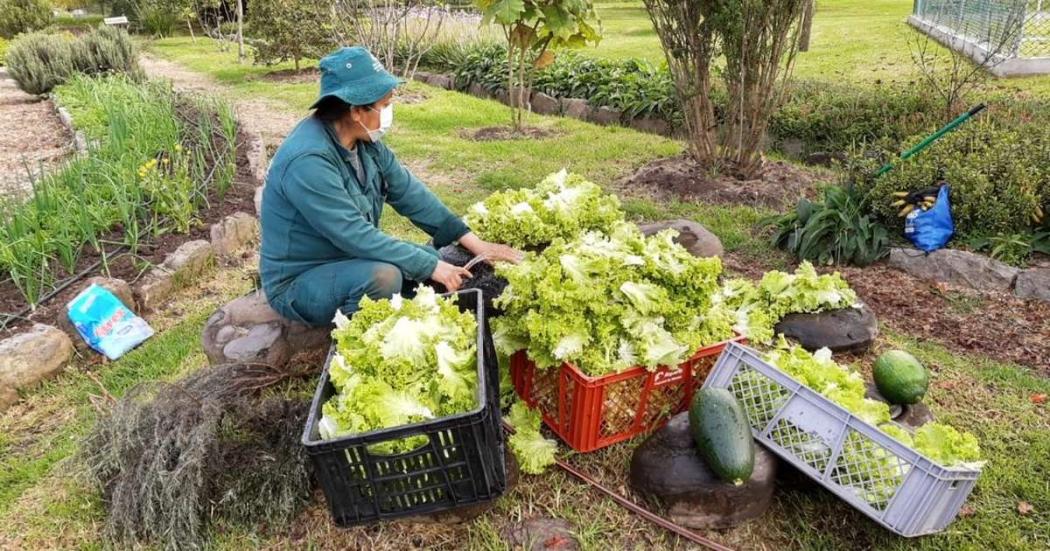 Bogotá, Perth y París, finalistas en el World Green City Awards 2022