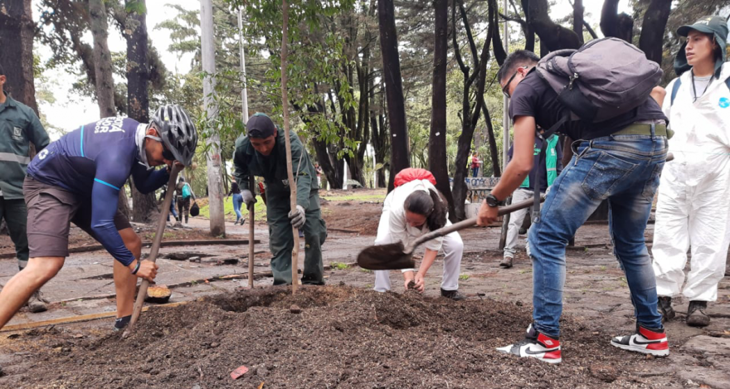 El Distrito y la comunidad plantaron 120 árboles en el Parque Nacional