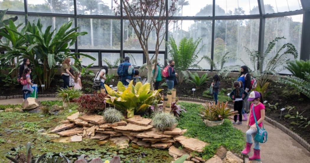 Programación de las vacaciones científicas que trae el Jardín Botánico