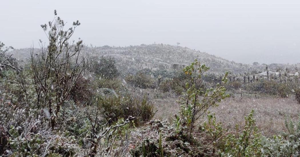 ¿Por qué cayó nieve en el páramo de Sumapaz? Aquí te contamos 