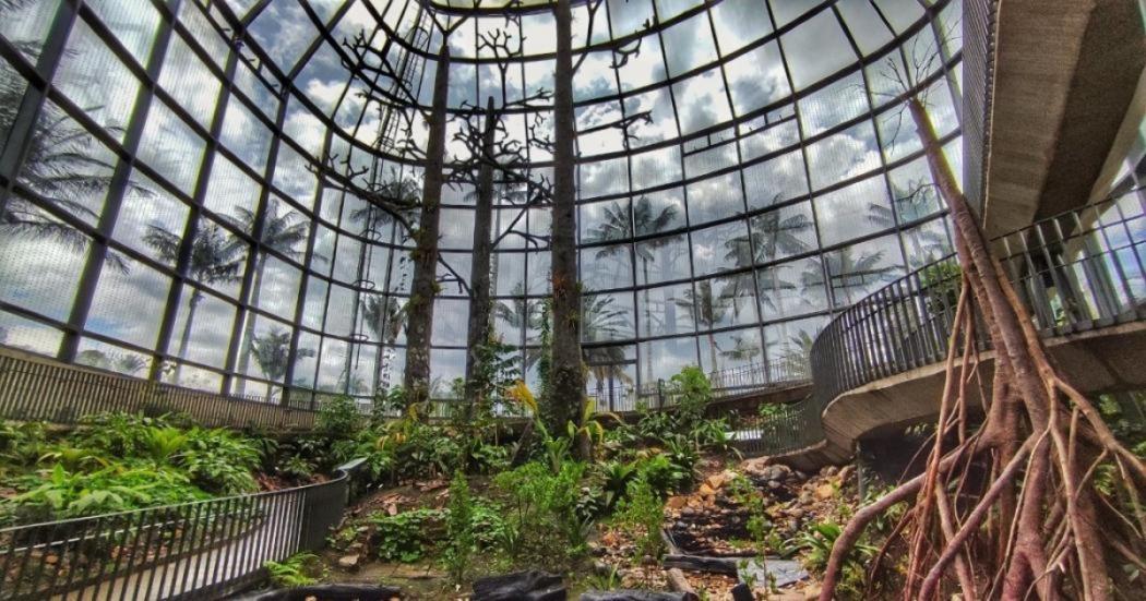 ¿El Jardín Botánico estará abierto el domingo de segunda vuelta?