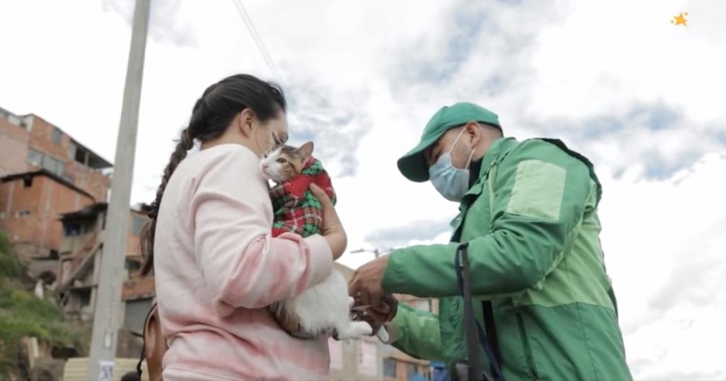 Habilitan turnos para esterilizaciones de perros y gatos en agosto