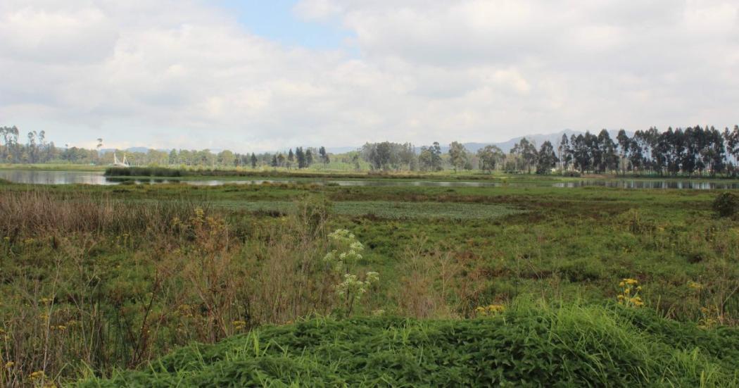 Predio La Providencia ahora hace parte del Humedal Jaboque de Bogotá