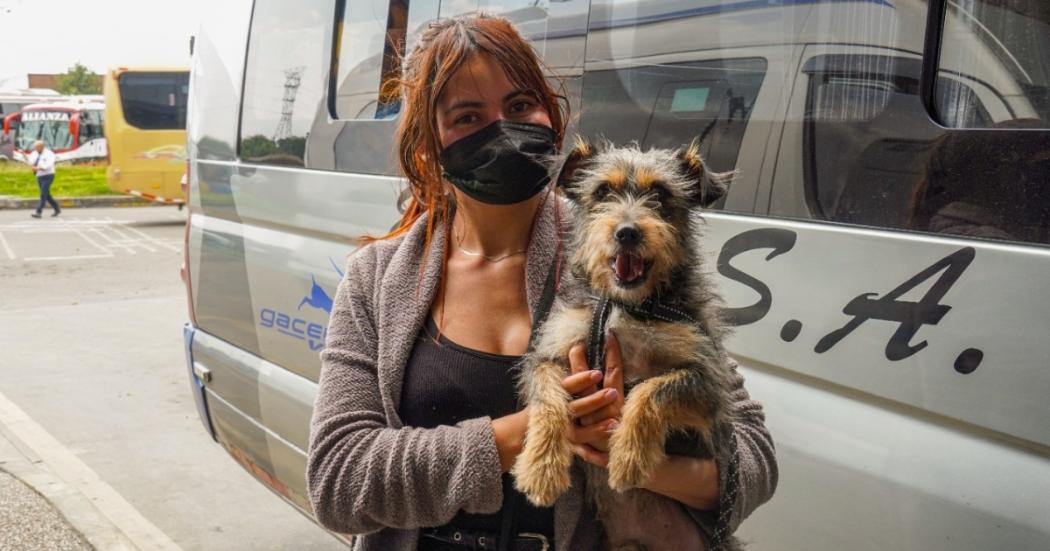 Requisitos para viajar con mascotas desde la Terminal de transportes