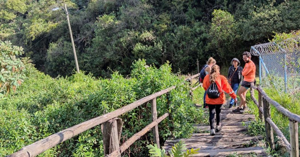 ¿Dónde se puede practicar senderismo en Bogotá? Acá te contamos👇