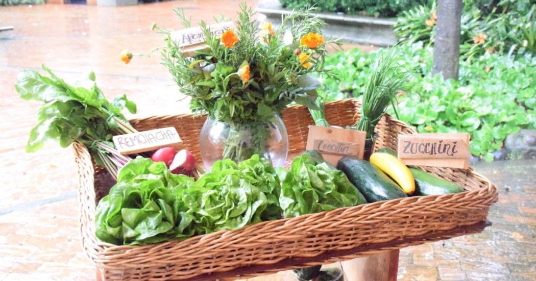 Cumpleaños de Bogotá: Celebra y prográmate con los Mercados Campesinos