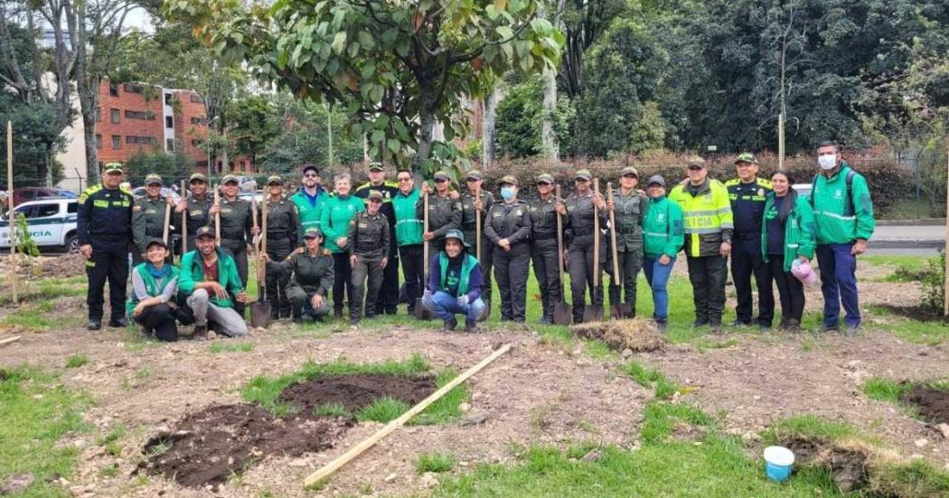 Distrito plantó más de 1.100 árboles este fin de semana en Bogotá 