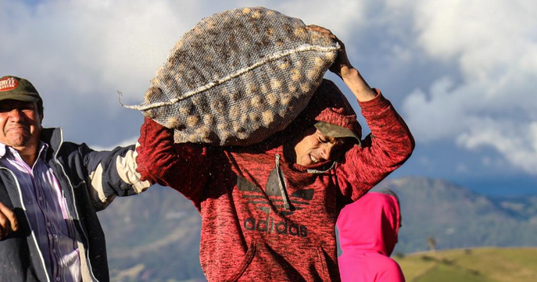 En nueva serie, Capital presenta el sistema alimentario de Bogotá