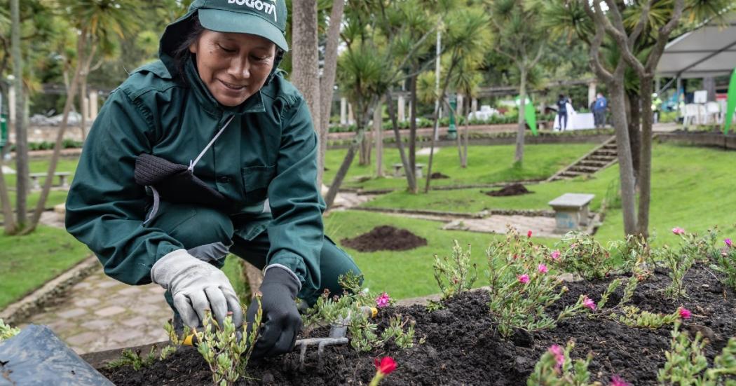 'Mujeres que reverdecen', reconocido en Alfombra Verde de MinAmbiente