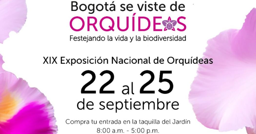 XIX Exposición Nacional de Orquídeas: 22 al 25 de septiembre en Bogotá