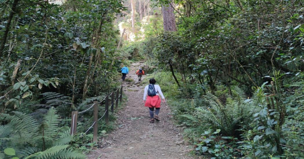 ¿Cómo cancelar un cupo a una caminata a los senderos del Distrito?