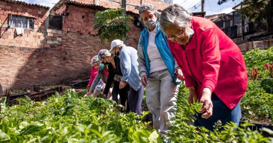 En Kennedy se inaugurará la tercera ruta agroecológica del Distrito 