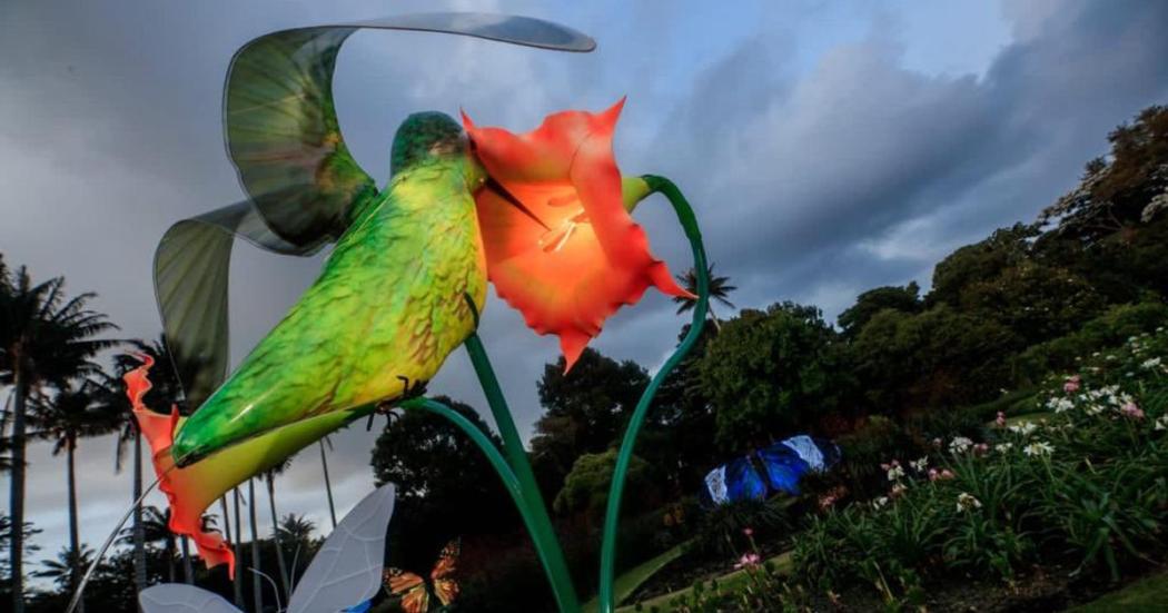 ¿Puedo llevar a mi perro al show 'Polinizando' del Jardín Botánico? 