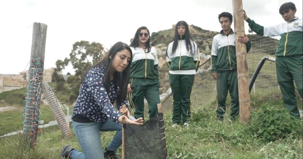 Conoce el proyecto estudiantil de Usme que recolecta agua de las nubes