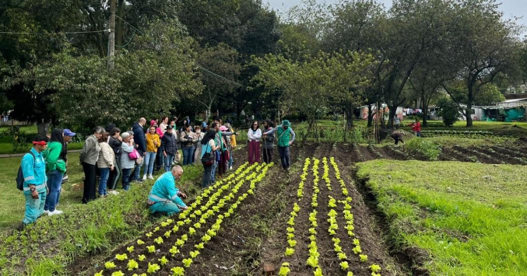 Se conforma la undécima Red de Agricultoras y Agricultores de Engativá