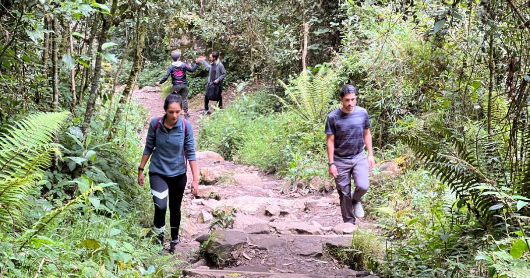 ¿Cómo agendar visitas gratuitas a los senderos de Bogotá? infórmate