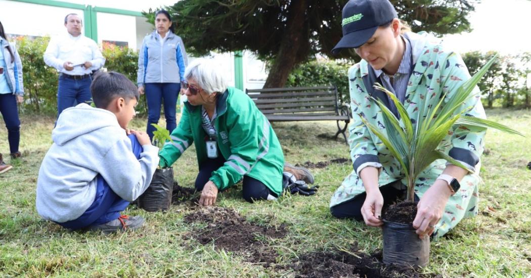 Distrito sembró 200 nuevos árboles en la reserva Thomas Van Der Hammen