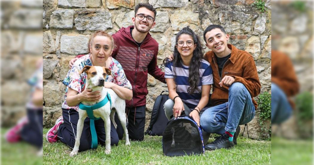 23 perros y 8 gatos fueron adoptados en la plaza de la Santamaría