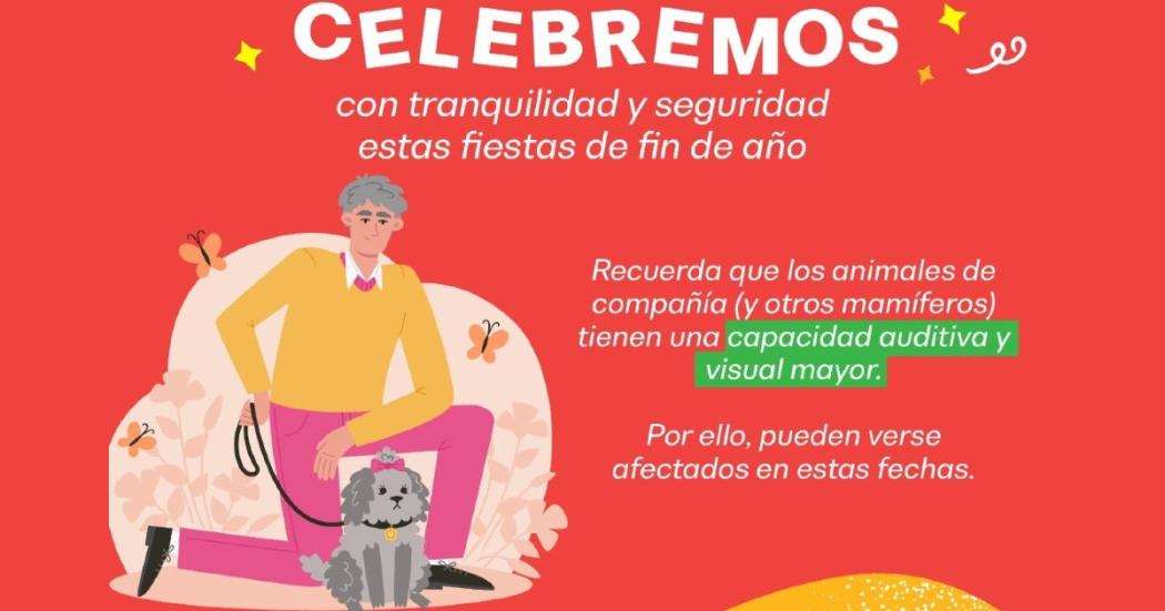 Recomendaciones para evitar que los animales sufran con la pólvora