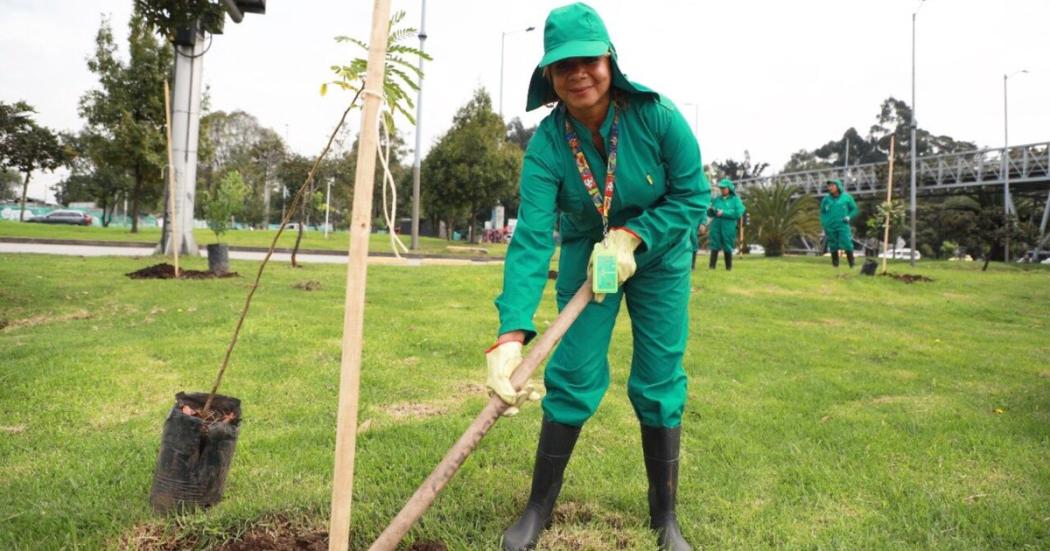 Mujeres que Reverdecen, el mejor regalo para Bogotá en 2021 y 2022