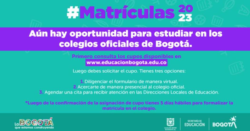 Pasos para consultar los cupos disponibles en colegios oficiales 