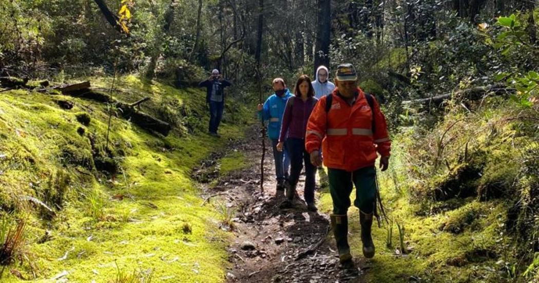 Doce quebradas y Kilómetro 11: Los dos nuevos senderos de Bogotá