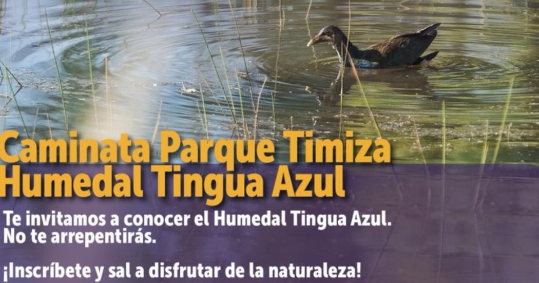 Caminata por Humedal Tingua Azul del Parque Timiza este 12 de febrero