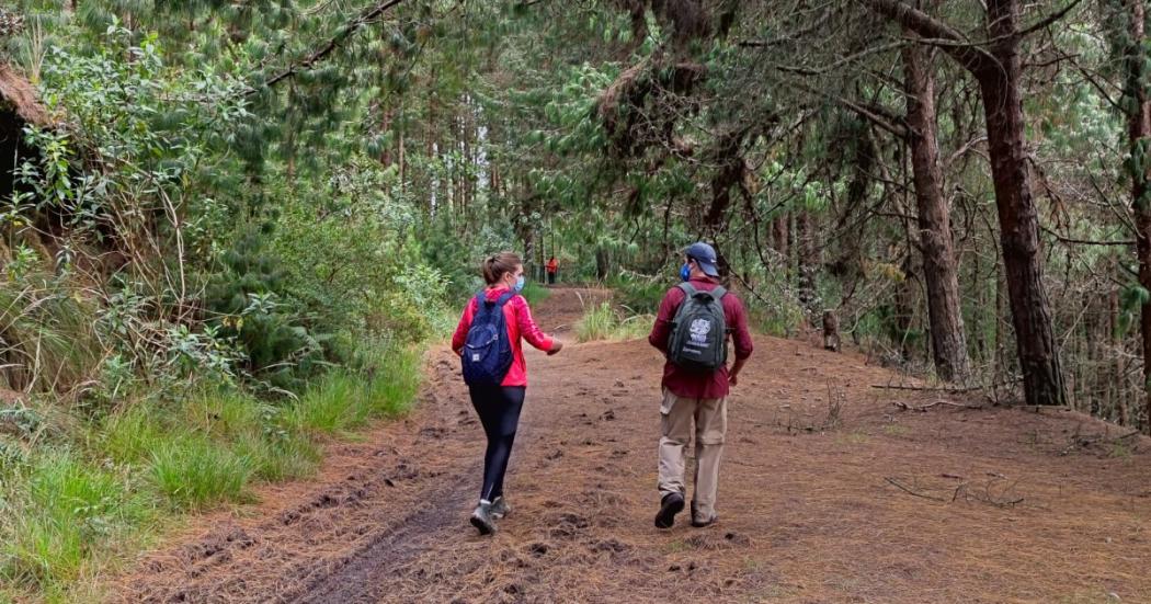 Dónde inscribirse para hacer caminatas en senderos ecológicos Bogotá 