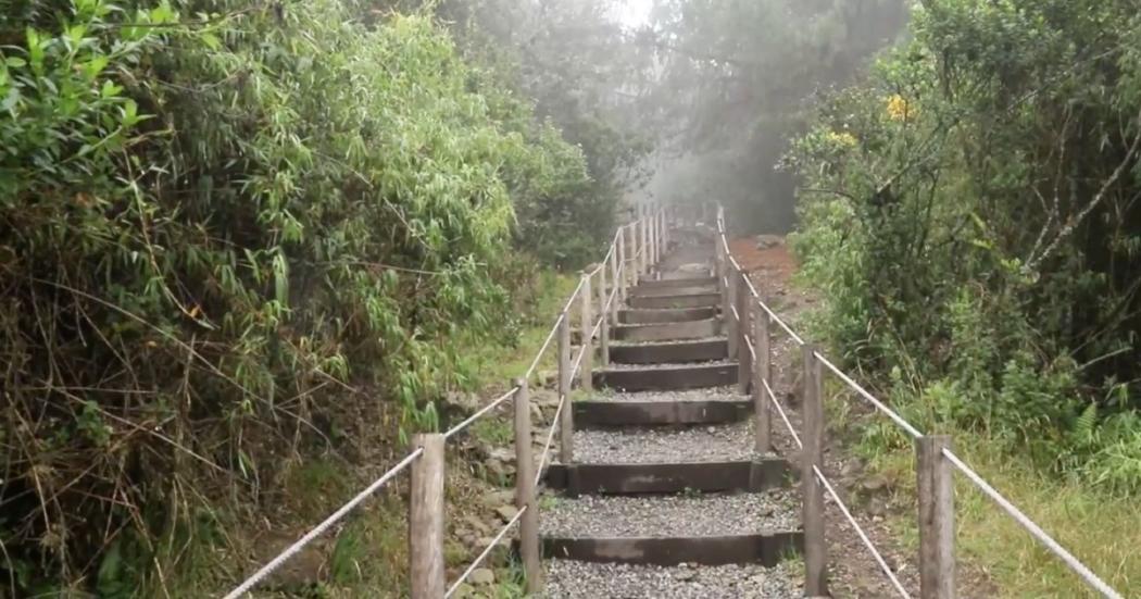 Sendero Guadalupe-Aguanoso reabre al público este 25 de febrero 