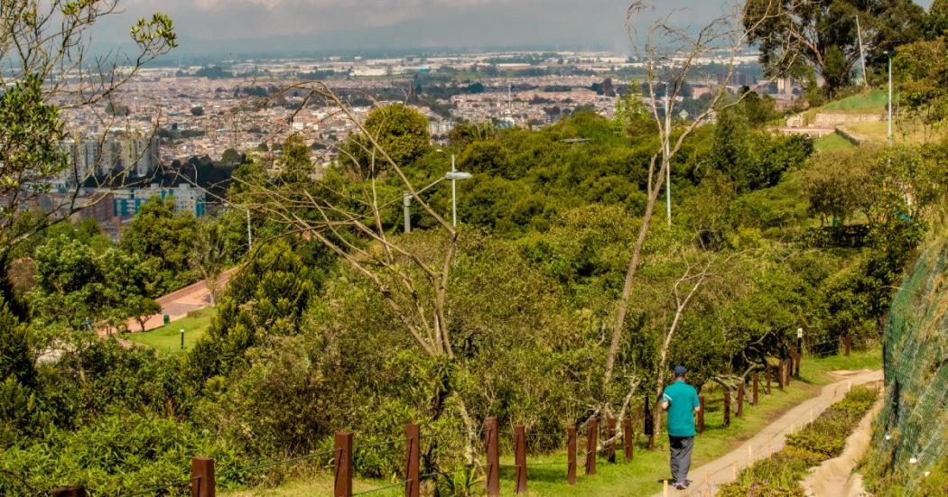 Recorridos ambientales para hacer en Bogotá: humedales, parques y más