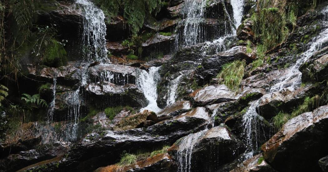 Datos relacionados sobre el agua en Observatorio Ambiental de Bogotá