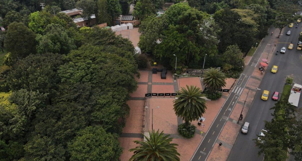 For the Third Year, Bogotá is Recognized as 'Tree City of the World