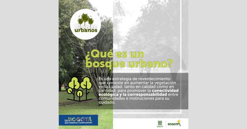 Distrito anuncia 21 áreas para crear bosques urbanos en Bogotá 2023 