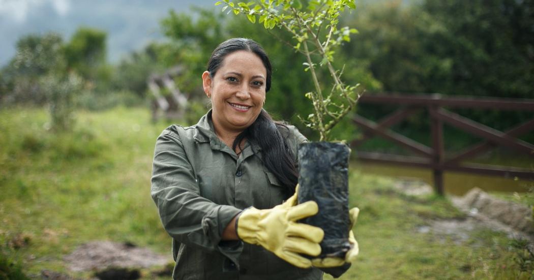 ¿Cuándo empiezan las inscripciones a Mujeres que Reverdecen fase 3?