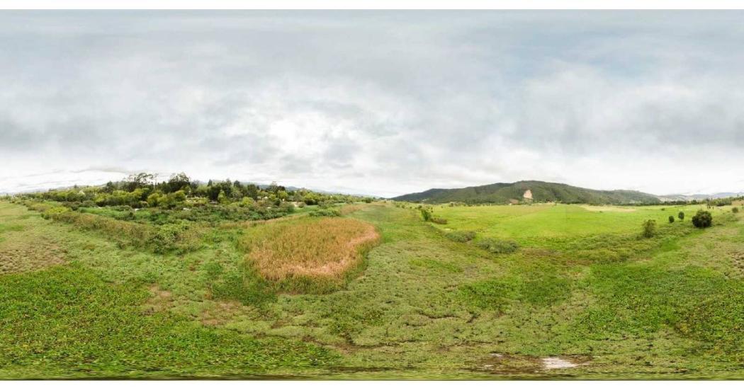 Plan de manejo ambiental de los humedales Torca y Guaymaral avanza 