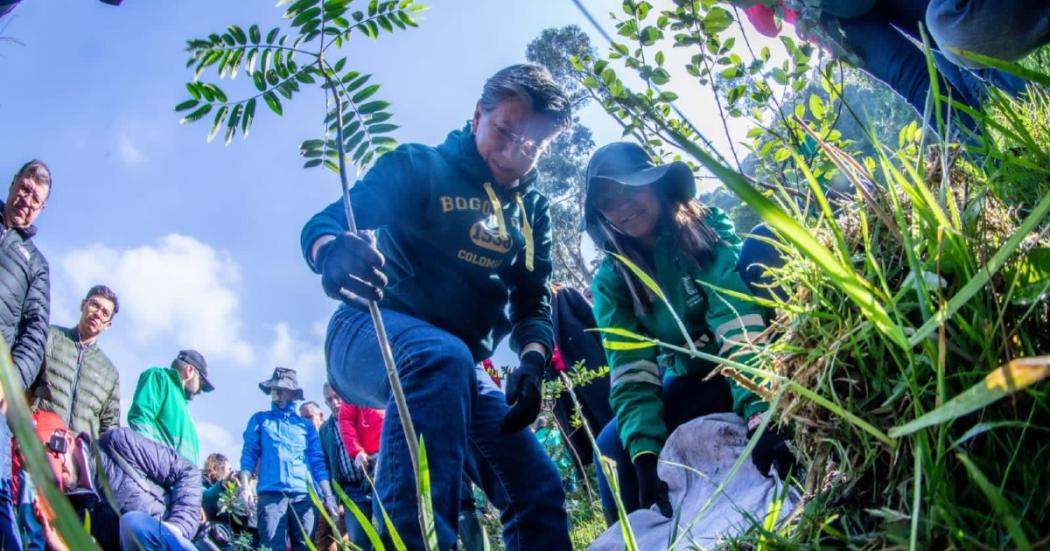 La alcaldesa, Claudia López, participó en una jornada de sembratón de 70 árboles