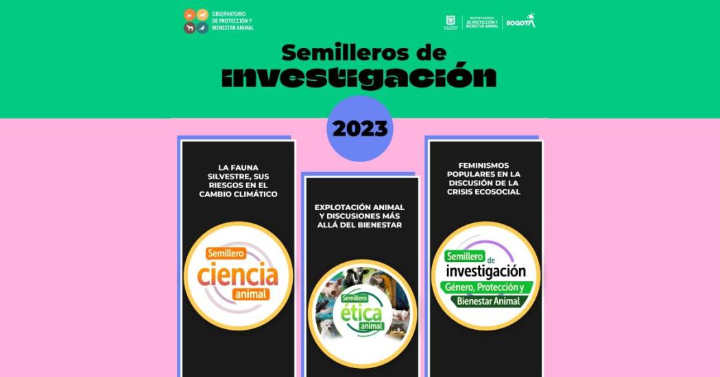 Cómo inscribirse a semilleros investigación y protección animal 2023