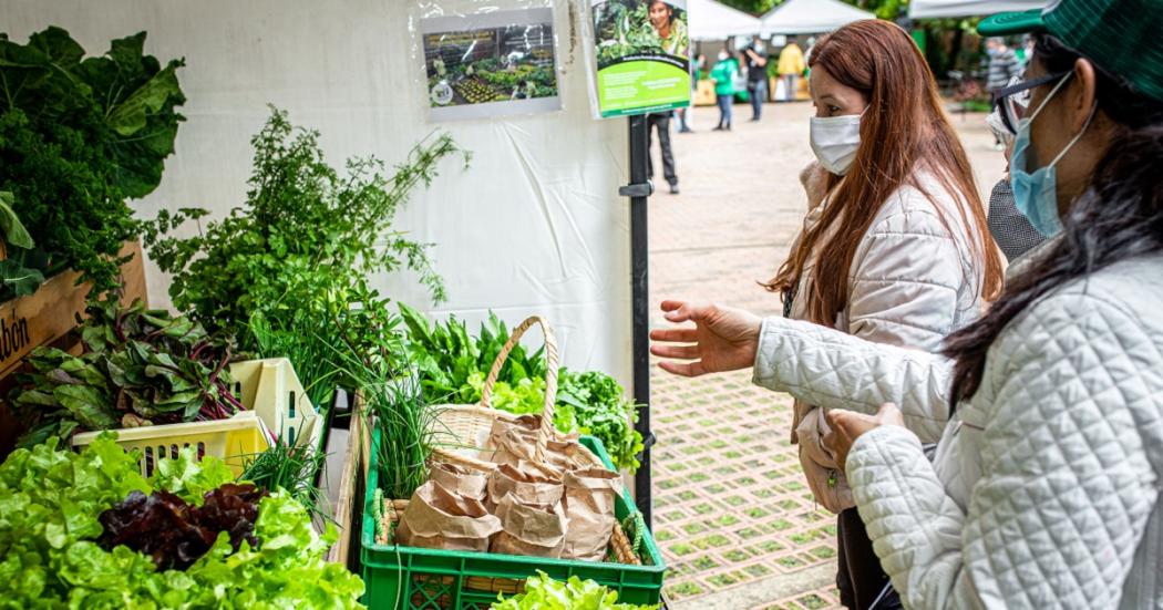 Mercados campesinos del Jardín Botánico