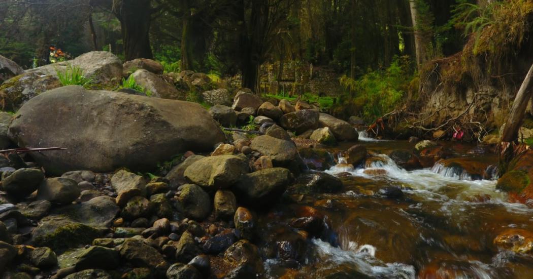 Sendero El Delirio en localidad de San Cristóbal permanece cerrado