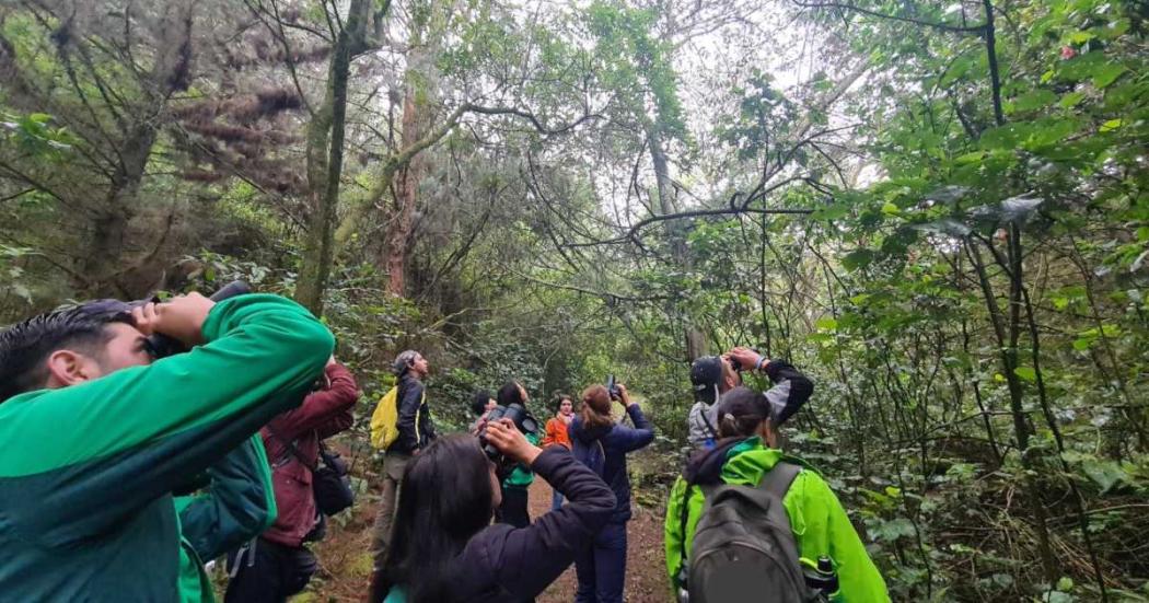 Celebra el #GlobalBigDay en los senderos de los cerros orientales 