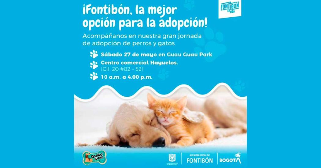 Conoce un nuevo amigo en la jornada de adopción animal el 27 de mayo